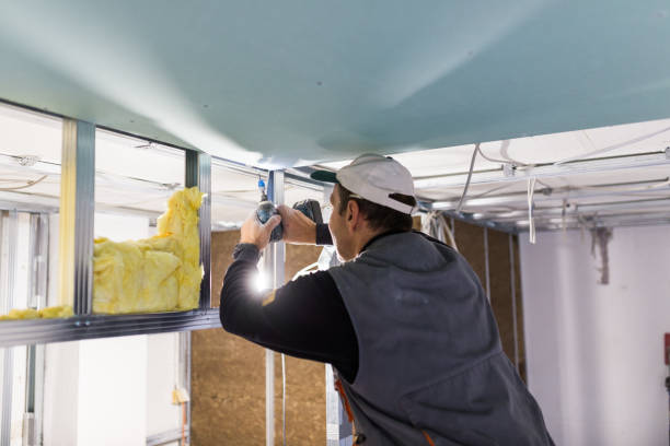 Best Cellulose Insulation in North Tunica, MS
