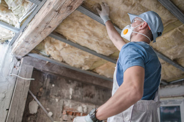 Types of Insulation We Offer in North Tunica, MS