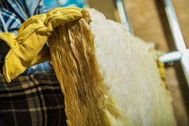 Best Insulation Maintenance and Repair in North Tunica, MS