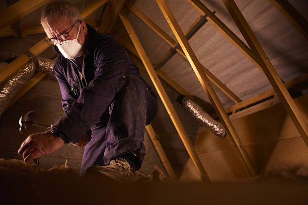 Best Eco-Friendly Insulation in North Tunica, MS